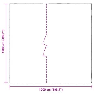 Augalų uždangalas Skaidrus 10 x 10 m PE