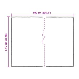 Augalų uždangalas Skaidrus 4 x 6 m PE