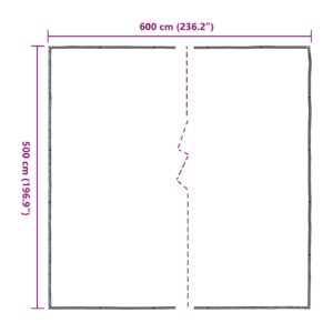 Augalų uždangalas Skaidrus 5 x 6 m PE