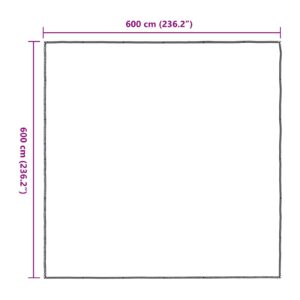 Augalų uždangalas Skaidrus 6 x 6 m PE