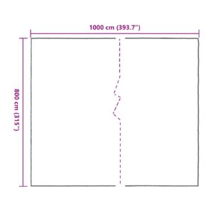 Augalų uždangalas Skaidrus 8 x 10 m PE