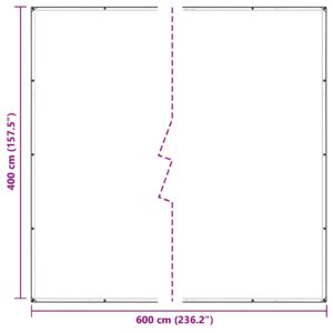 Augalų uždangalas Skaidrus 4 x 6 m PVC