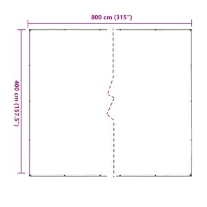 Augalų uždangalas Skaidrus 4 x 8 m PVC