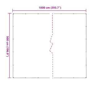 Augalų uždangalas Skaidrus 5 x 10 m PVC