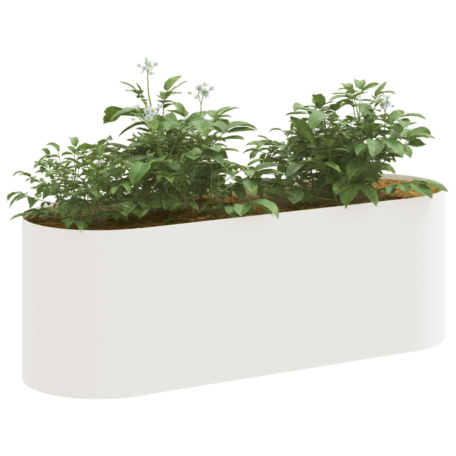Pakelta sodo lova Balta 120 x 40 x 40 cm Pakelta sodo lova Balta 120 x 40 x 40 cm - Image 4