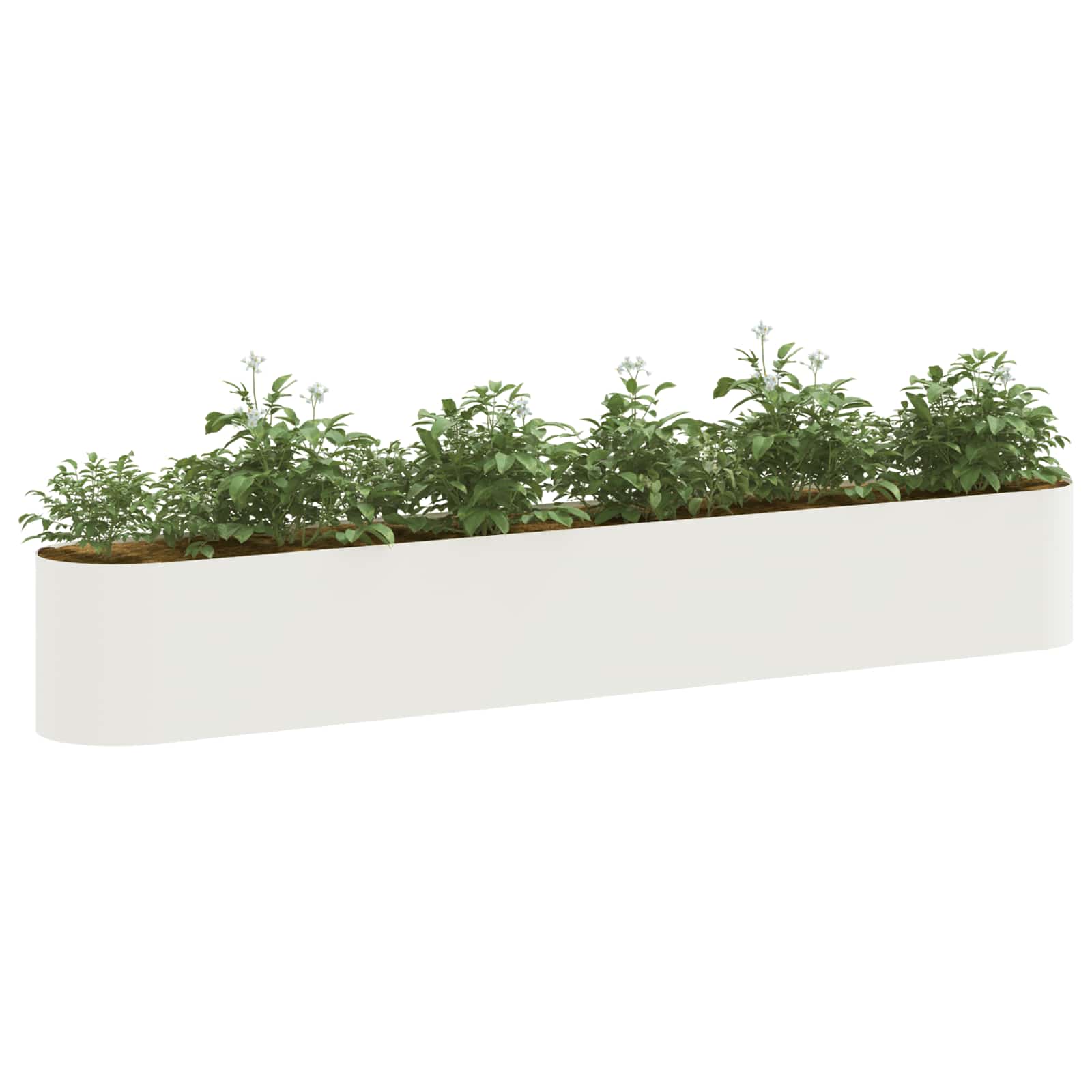 Pakelta sodo lova Balta 280 x 40 x 40 cm Pakelta sodo lova Balta 280 x 40 x 40 cm - Image 4