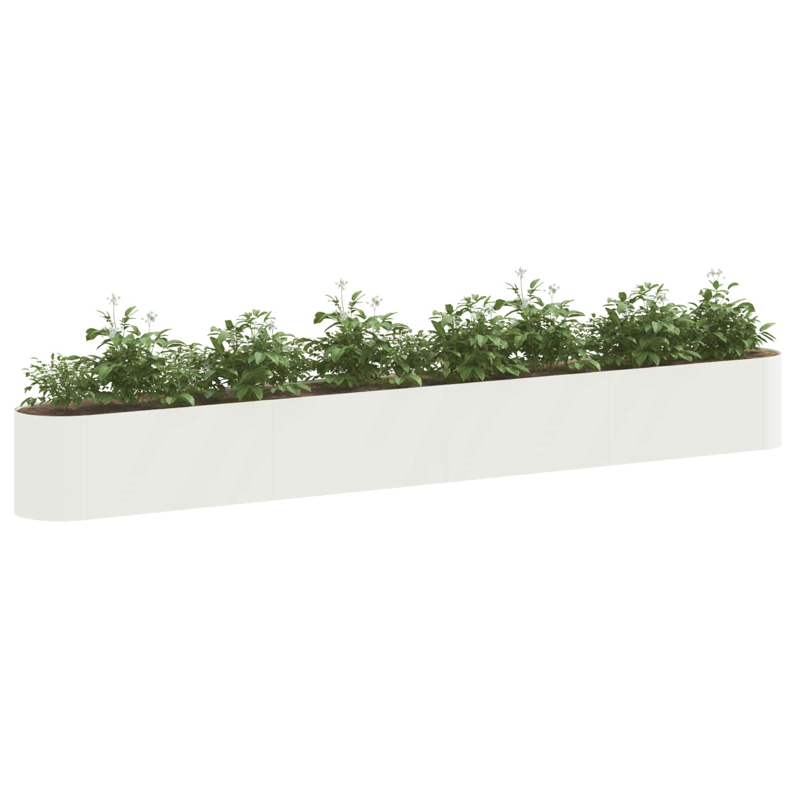 Pakelta sodo lova Balta 360 x 40 x 40 cm Pakelta sodo lova Balta 360 x 40 x 40 cm - Image 4
