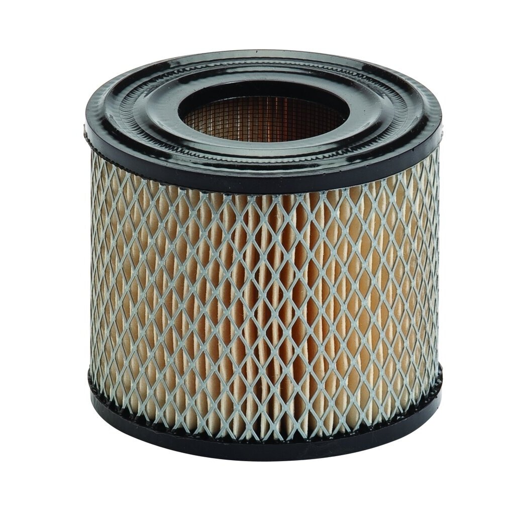 Oro filtras Briggs & Stratton varikliams #393957, #390930 Oro filtras Briggs & Stratton varikliams #393957, #390930