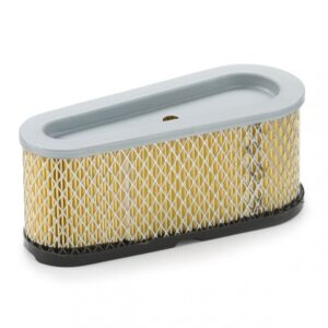 Oro filtras Briggs & Stratton #493909, #496894