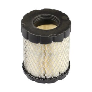 Oro filtras Briggs & Stratton OHV modeliams 40, 44 ir 49 #798897
