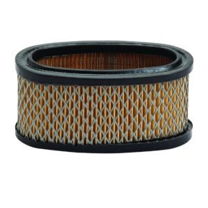 Oro filtras Briggs and Stratton 11 Ag varikliams (#393725)