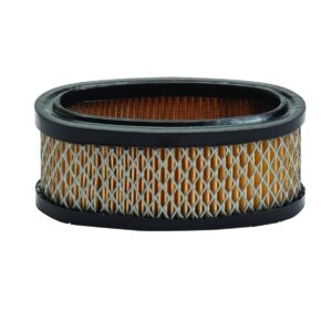 Oro filtras Briggs and Stratton 8 Ag varikliams (#393406)