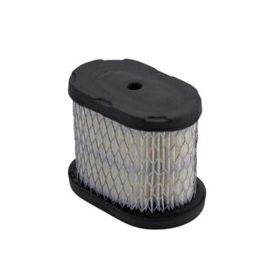 Oro filtras B&S 5 Ag Quantum varikliams #497725, #494586