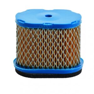 Oro filtras Briggs & Stratton 5.5, 6.5 Ag Intek Pro varikliams #690610