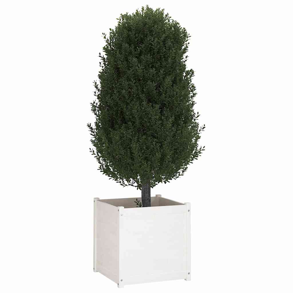Sodo loveliai, 2vnt., balti, 60x60x60cm, pušies masyvas Sodo loveliai, 2vnt., balti, 60x60x60cm, pušies masyvas - Image 8