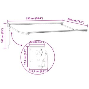 Elektrinė ištraukiama markizės sistema Baltas 2,5 x 2 m