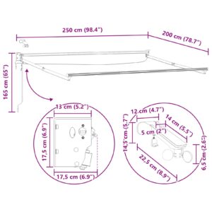 Elektrinė ištraukiama markizės sistema Baltas 2,5 x 2 m