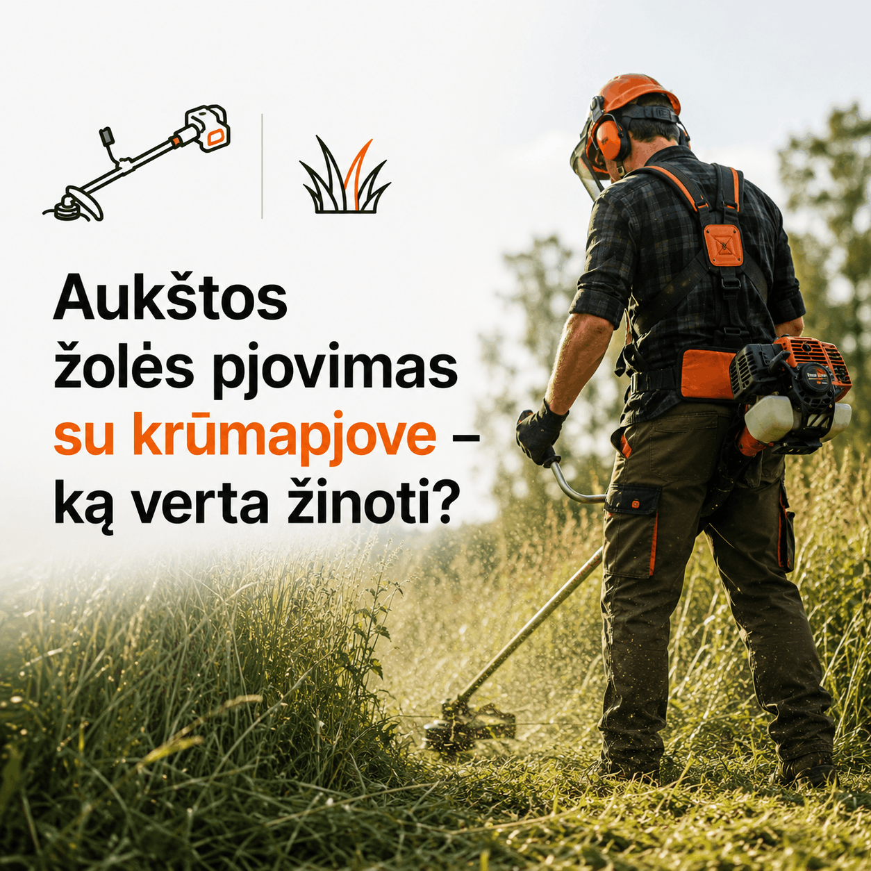 Aukštos žolės pjovimas su krūmapjove – ką verta žinoti?