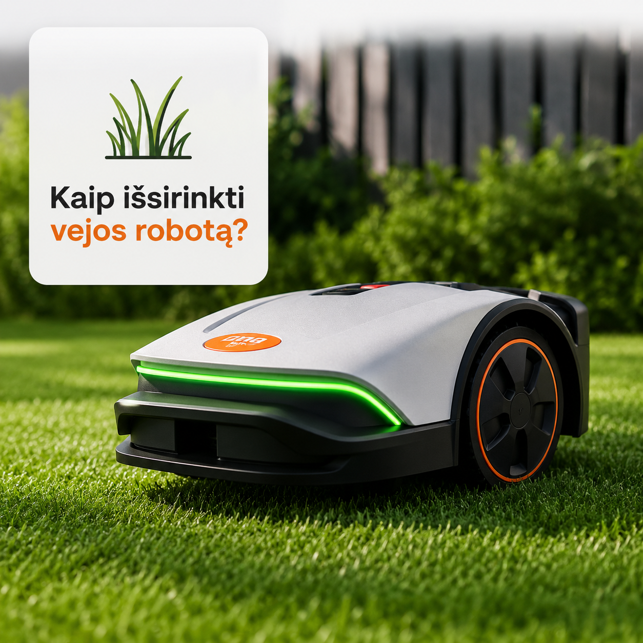 Kaip išsirinkti vejos robotą?