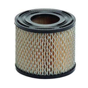 Oro filtras Briggs & Stratton varikliams #393957, #390930