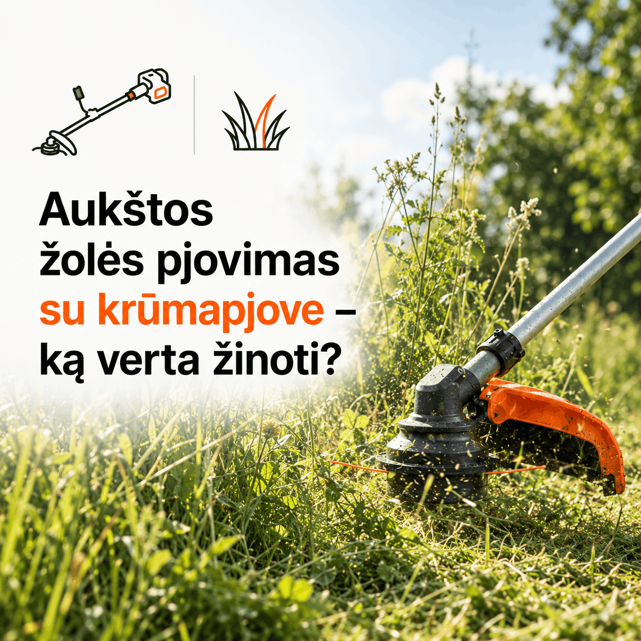 Aukštos žolės pjovimas su krūmapjove – ką verta žinoti?